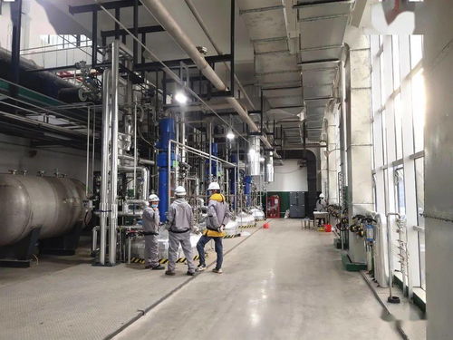 總投資50億元，富祥科技生物醫藥項目邁入試生產新階段